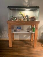 Bearded Dragon Gallon for Sale - Image 4